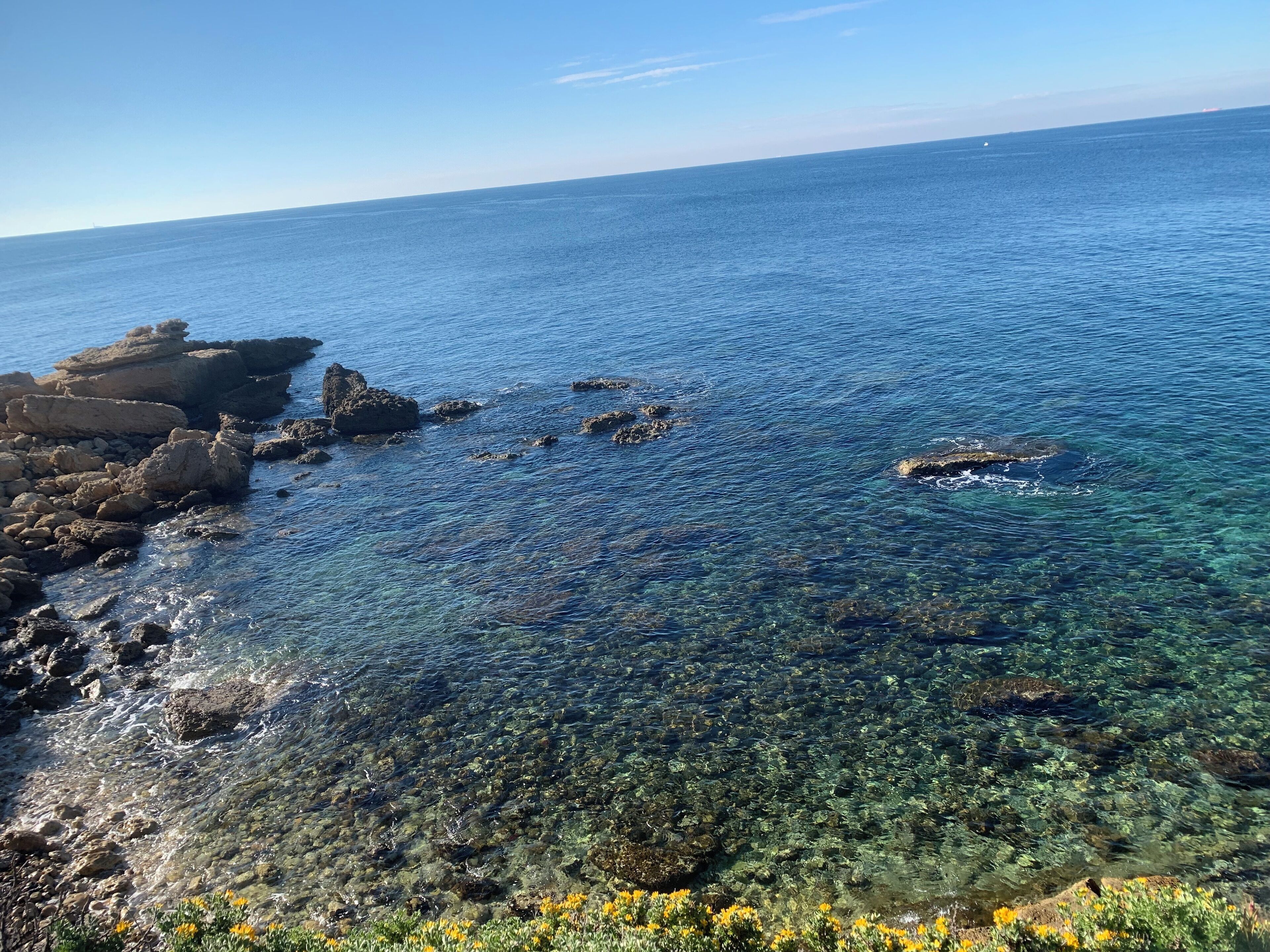 Eine Küstenlandschaft mit klarem Wasser, Felsformationen und gelben Blüten.
