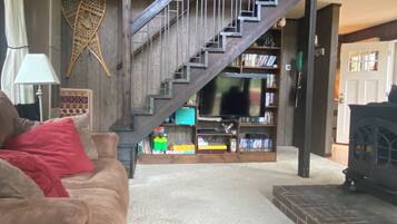 TV connectée, cheminée, lecteur de DVD, livres