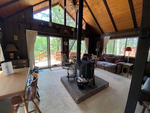 Smart TV, fireplace, DVD player, books