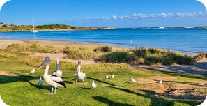 A coastal landscape with a grassy area, a sandy beach, and a calm sea.