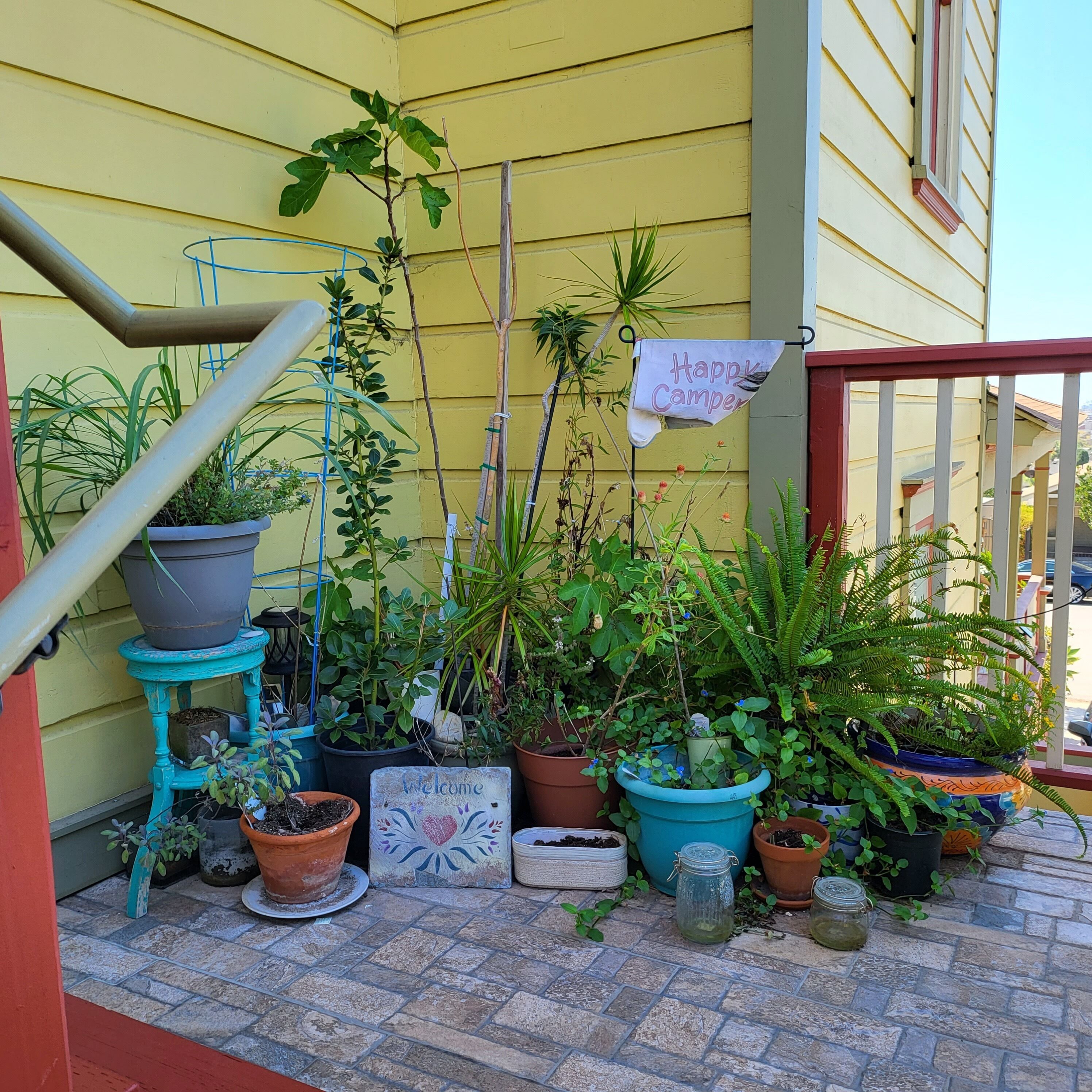 Overnatningsstedets område