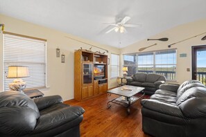 Smart TV, DVD player, books, video library