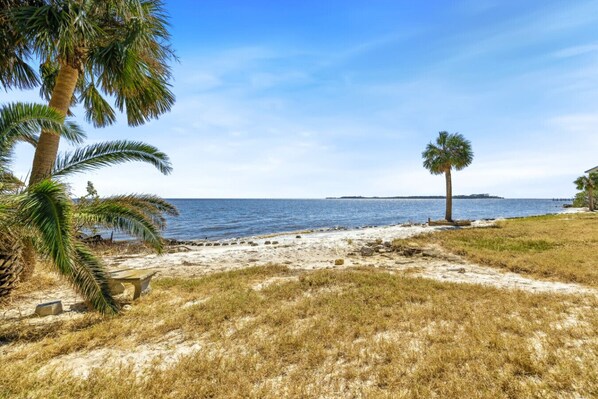A beach with palm trees, a sandy path, and a view of the ocean.