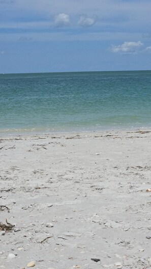 Sun-loungers - Close to beaches! 3-bedroom house in superb North Port with WiFi, AC (North Port)