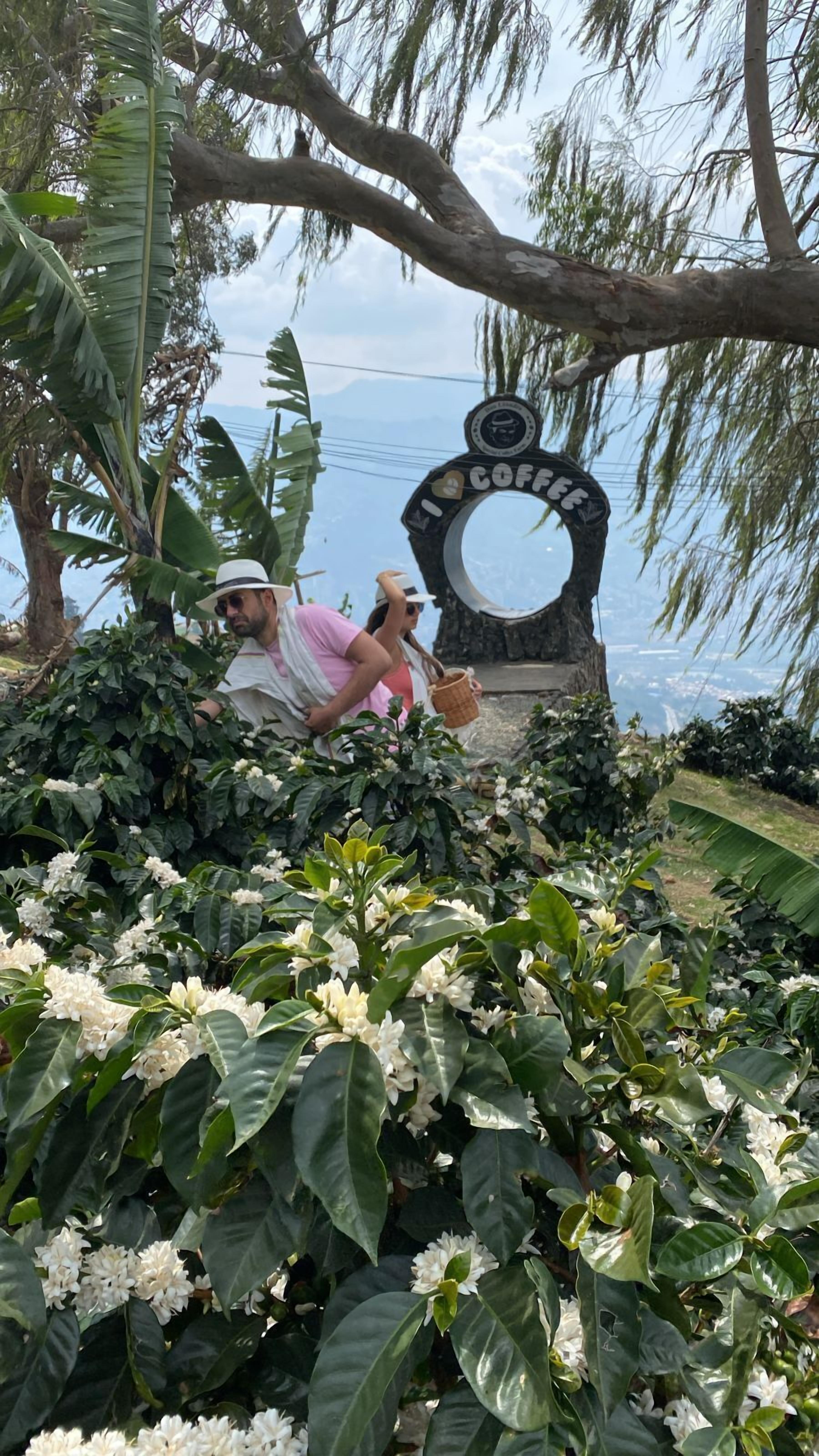 A sign with a coffee theme, surrounded by lush greenery and white flowers.