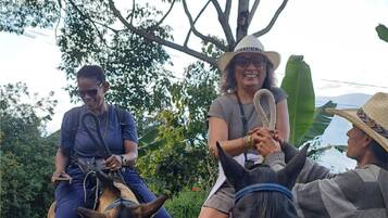 Two people riding a donkey, with a third person standing nearby.