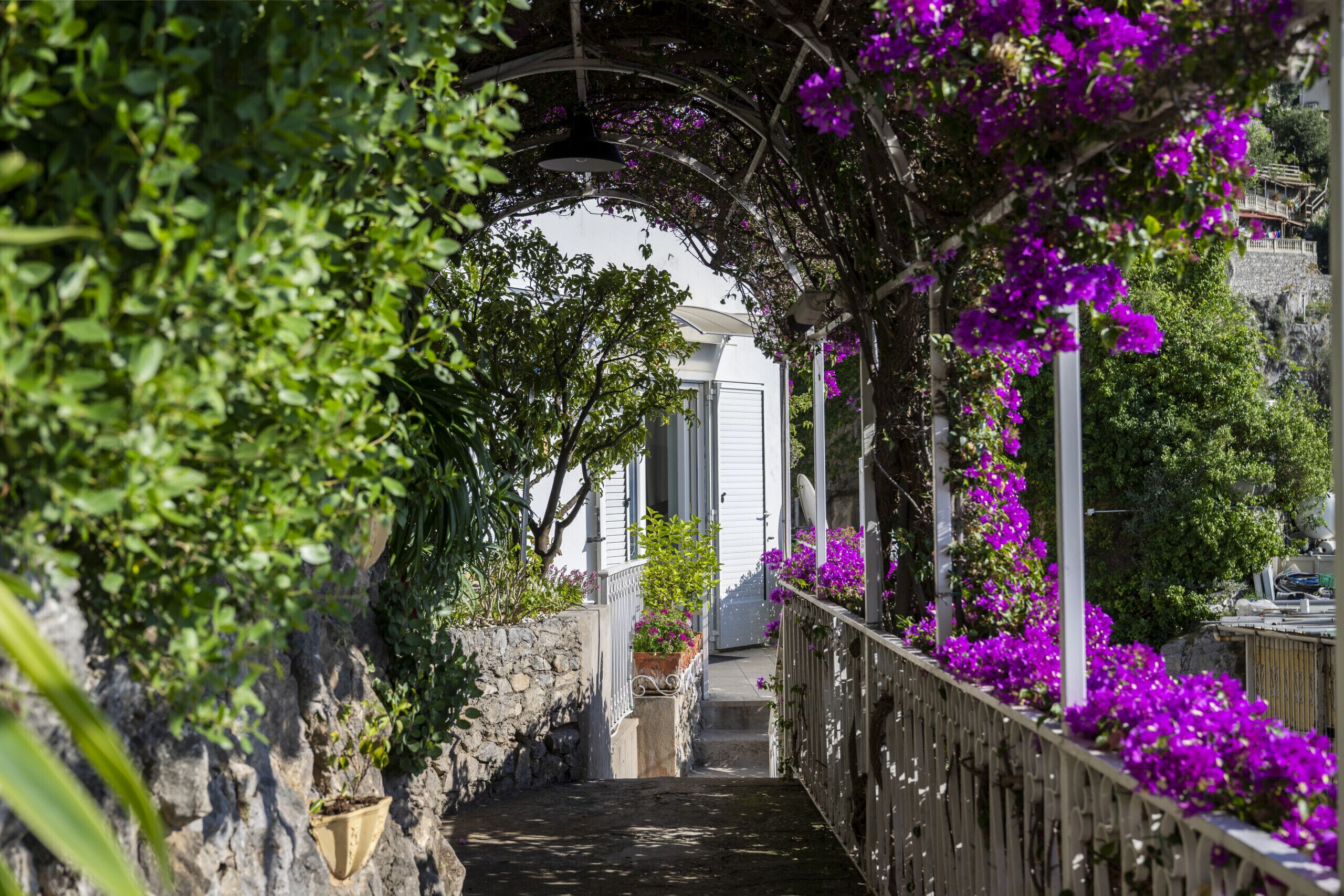 Overnattingsstedets uteområder