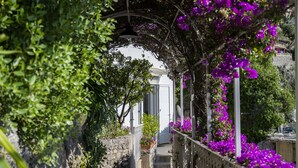 A narrow pathway flanked by lush greenery and vibrant purple flowers, leading to a white building with a stone wall on one side. - Estate4home- Casetta Arienzo (Positano)
