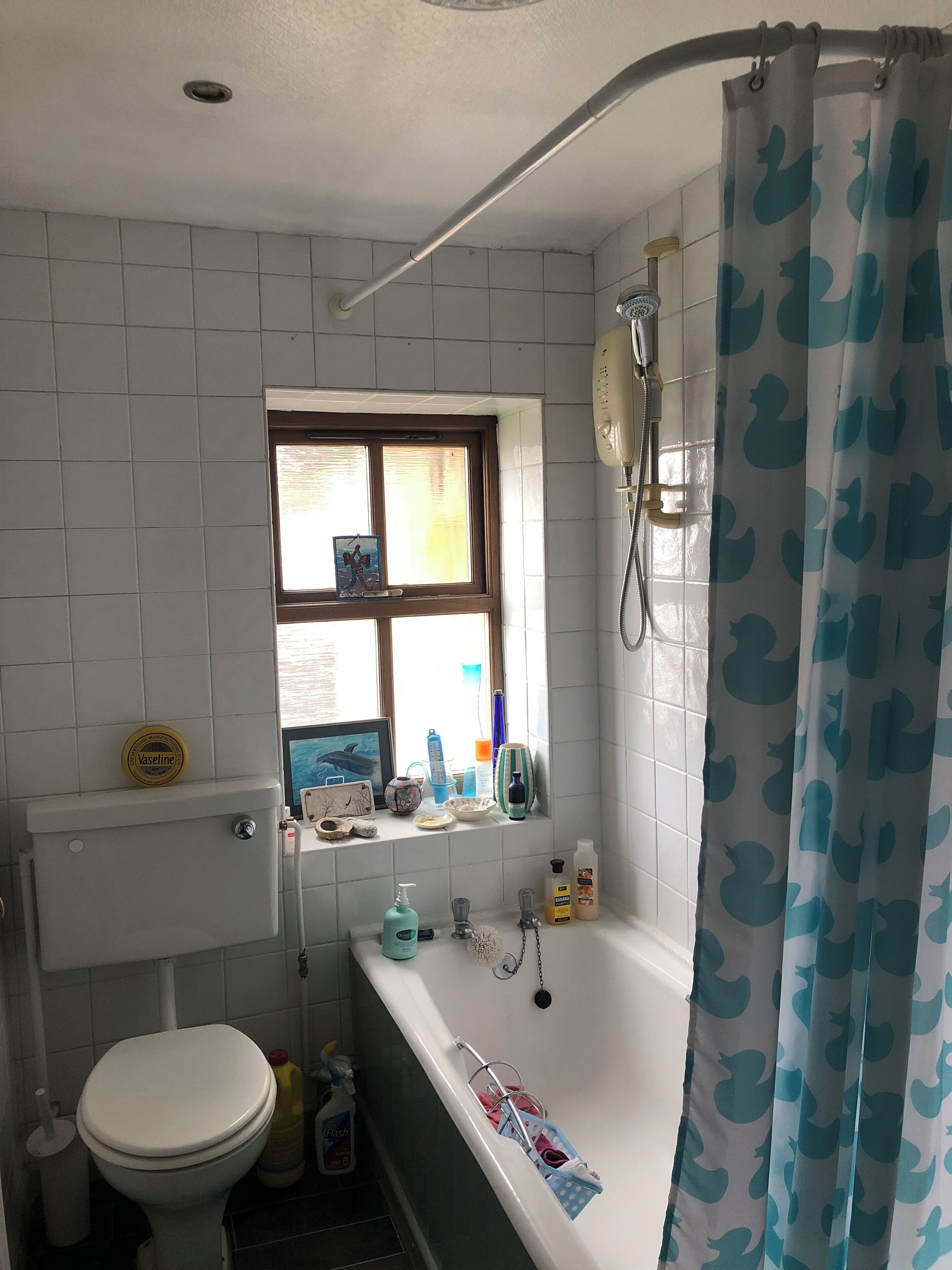 Toalhas de banho, sabonete, papel higiênico 