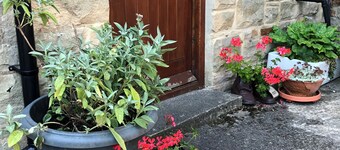 Cosy 2 bed-room cottage near High Force Waterfall