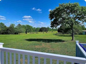 Property grounds - Charming 3 bedroom home to relax with the family or enjoying a quick get away (Norlina)