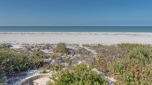 A beach with a clear sky, sandy shore, and sparse vegetation.