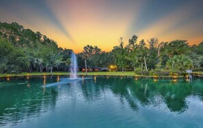 Property grounds - Charming Carriage House (St. Augustine)