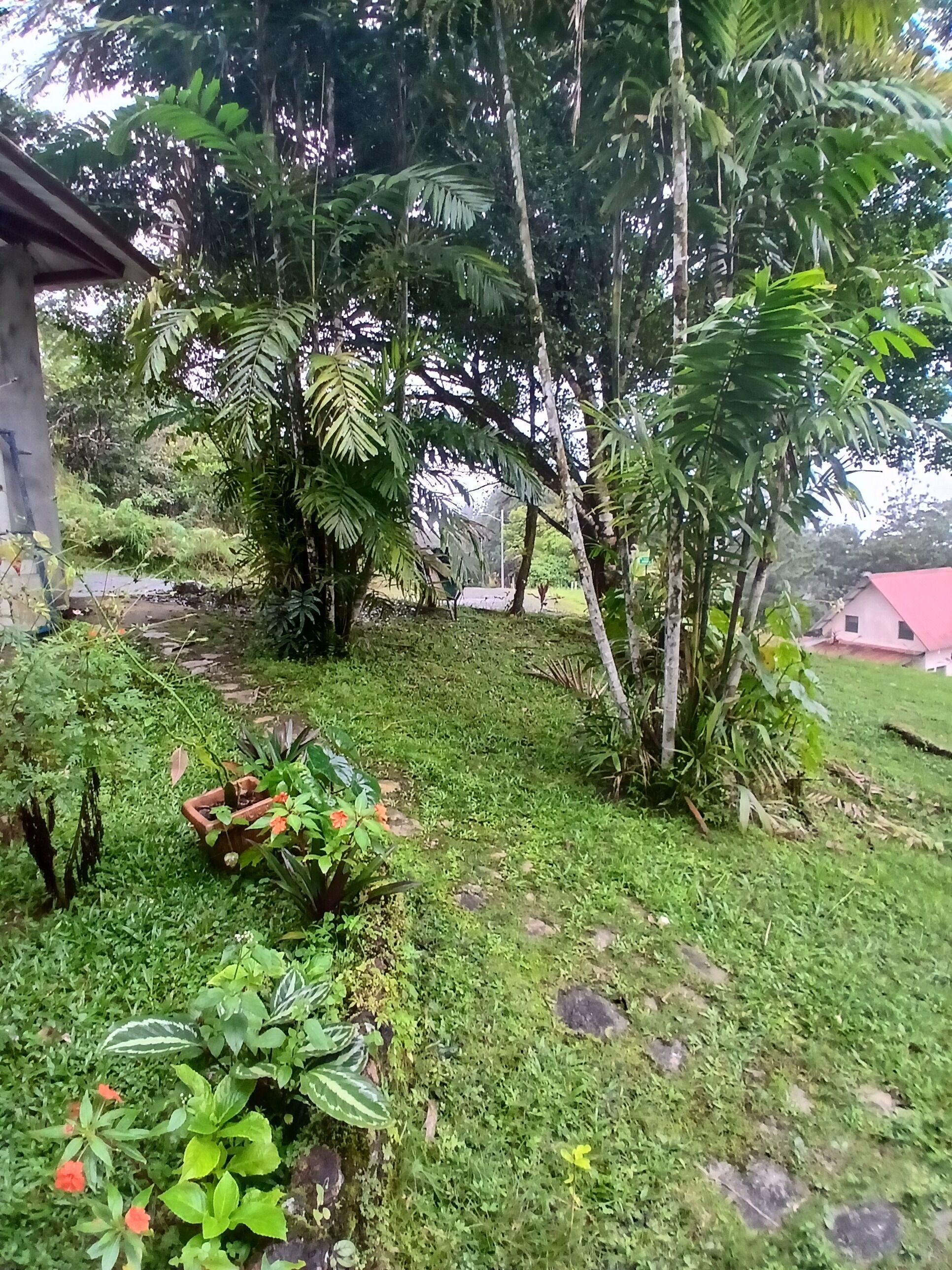 Terrain de l’hébergement 