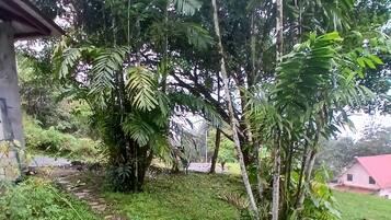 Terrain de l’hébergement