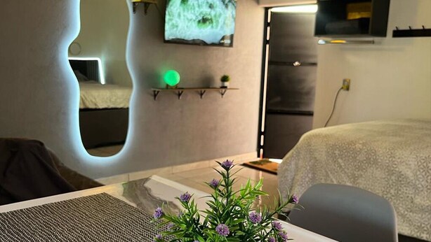 Habitación de hotel moderna con un letrero de neón único, un televisor de pantalla plana y una planta pequeña en la pared.