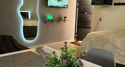 Modern Residence "Agave Dorado" w A/C