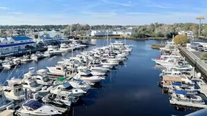 A marina with numerous boats docked.
