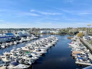 A marina with numerous boats docked.