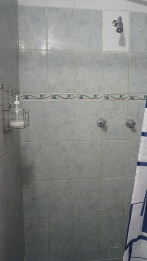 Bidet, towels, soap, toilet paper