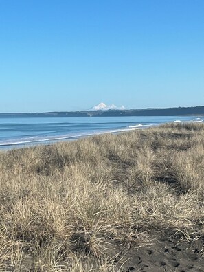A beach with dry grass in the foreground and a mountain in the background. - Luxury Beach Bus (Whanganui)