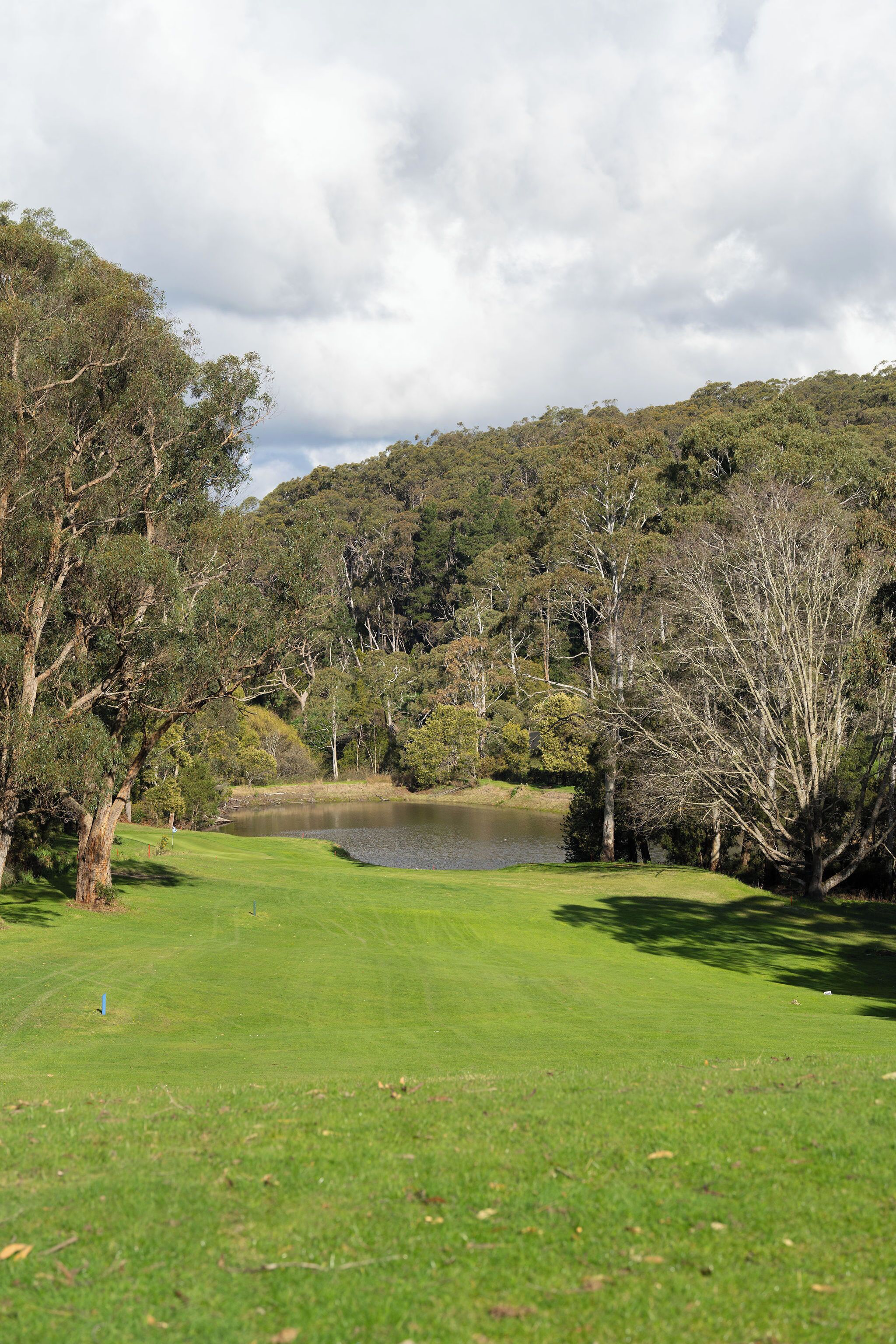 A golf course with a pond, surrounded by trees and hills.
