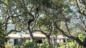 A rustic villa with a tiled roof, surrounded by lush greenery and trees. - La Cupulatta by Interhome (Sainte Lucie Porto Vecchio)