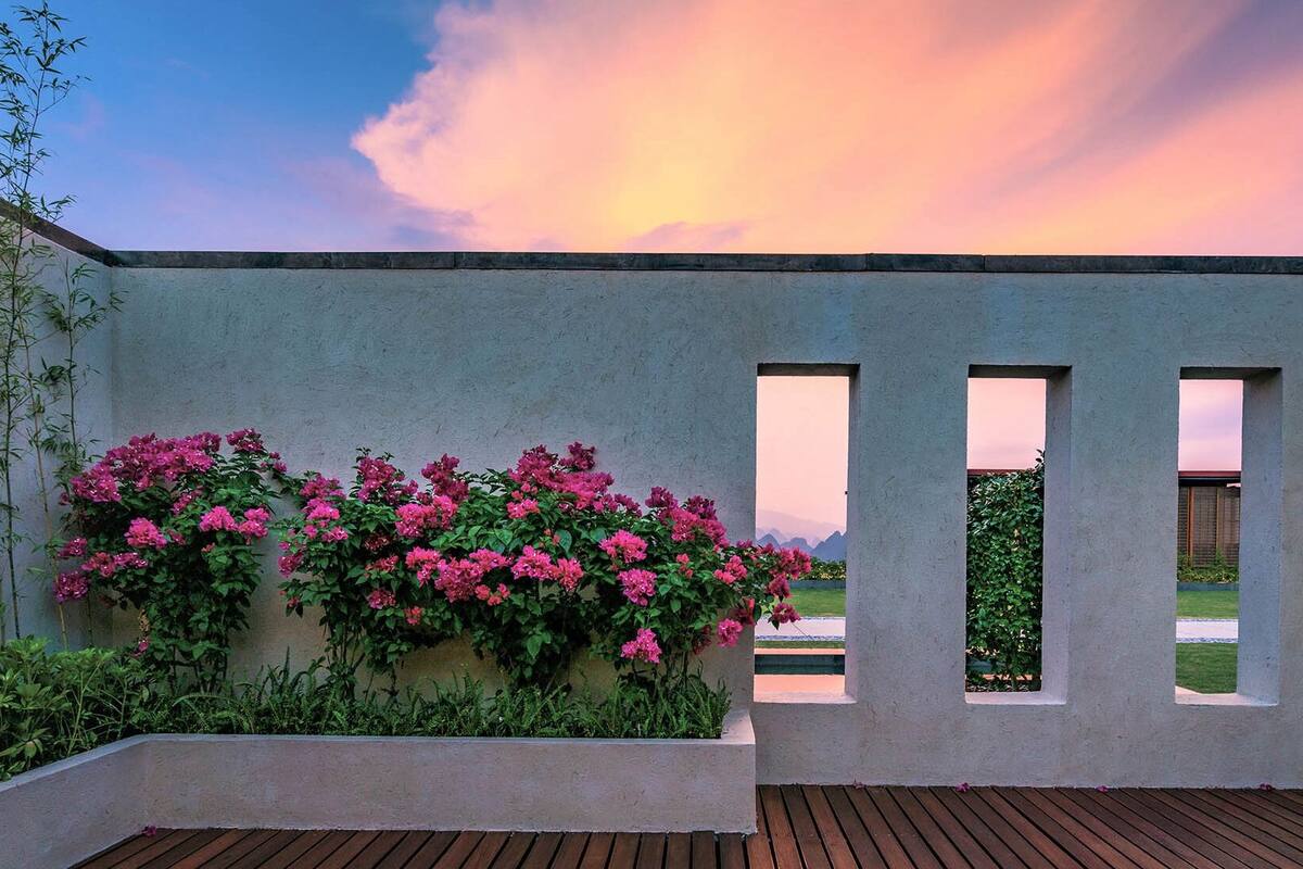 A modern outdoor space with a concrete wall, a wooden deck, and pink flowers.
