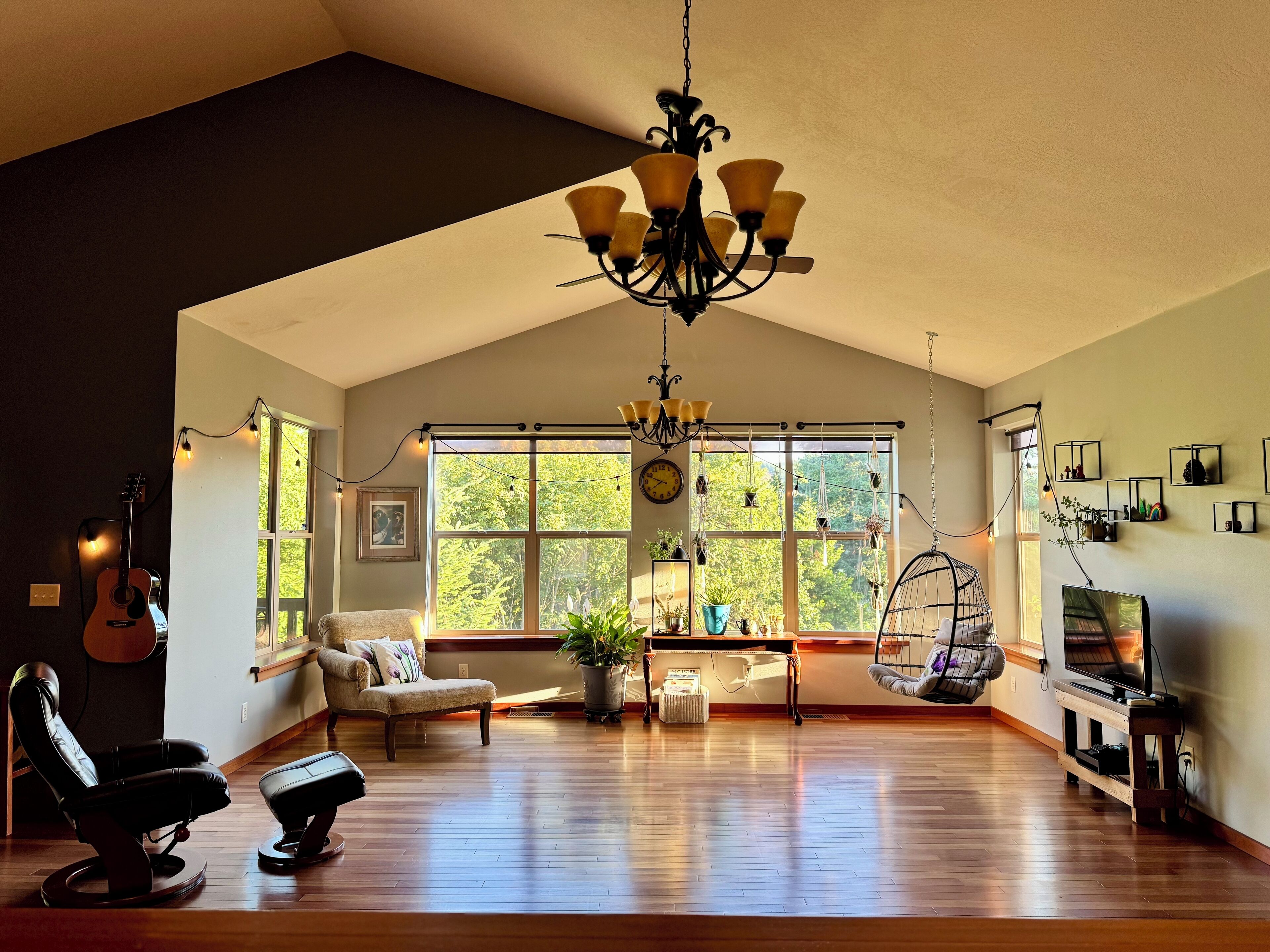 Televisión, chimenea, reproductor de DVD, libros