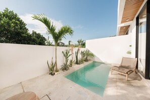 A modern outdoor pool area with a clear blue pool, surrounded by various plants and a single lounge chair.