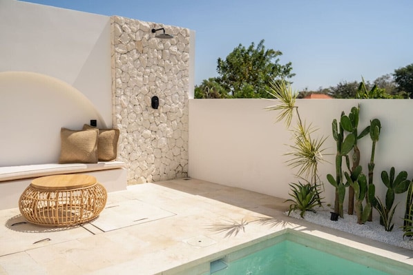 Zona de piscina en la azotea con pared de piedra, asientos y cactus.