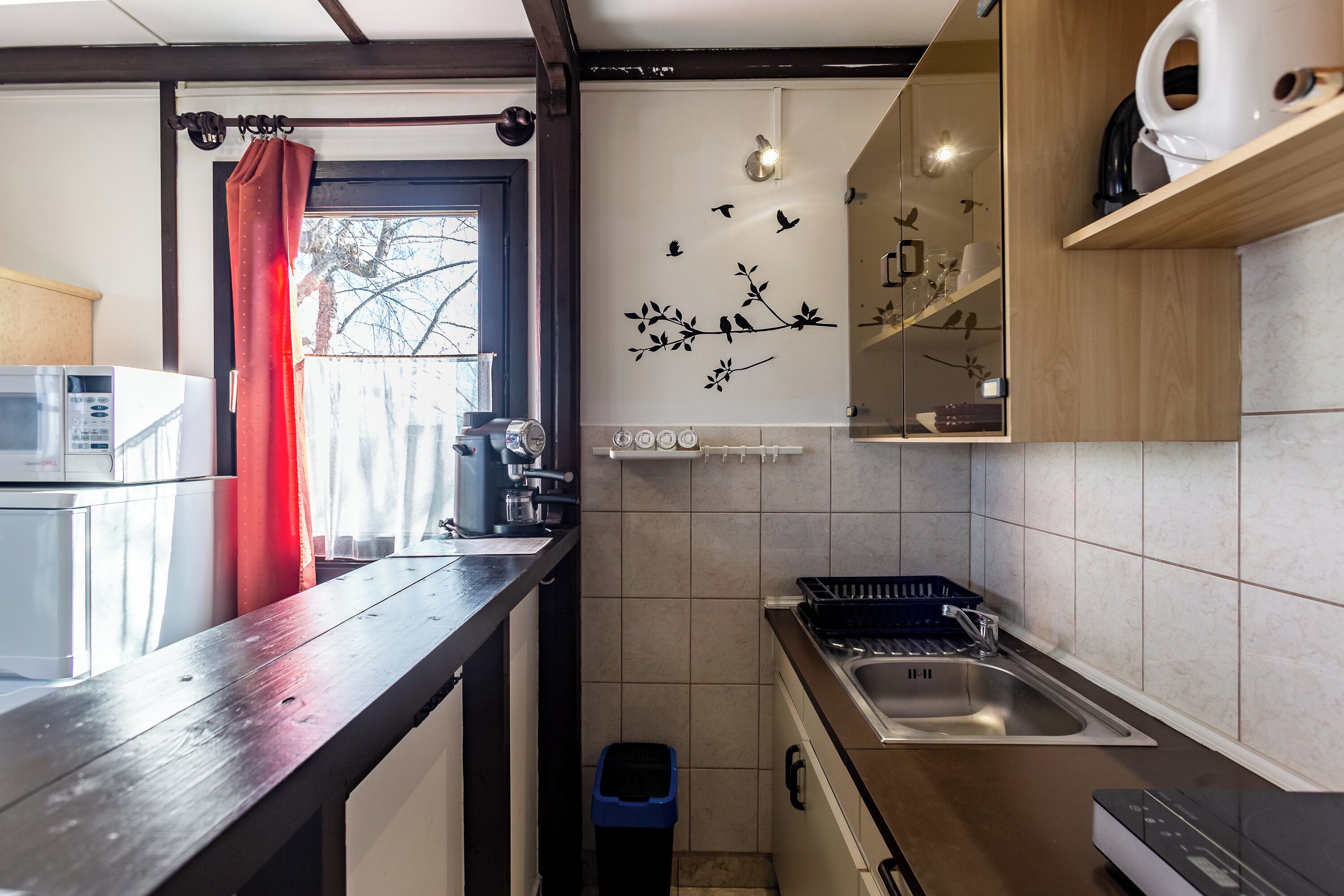 Fridge, microwave, stovetop, coffee/tea maker