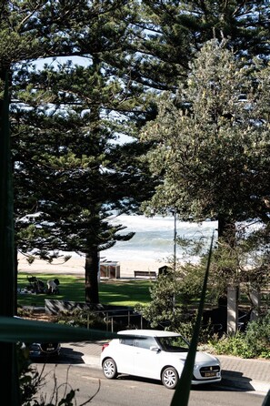 Property grounds - Austinmer On The Beach (Austinmer)