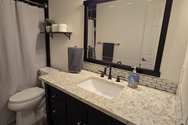 Hair dryer, bidet, towels, soap