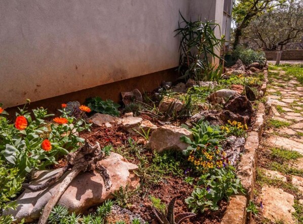 A garden with various plants and rocks. - Seaside Oasis Apartments on Island Ugljan (Preko)