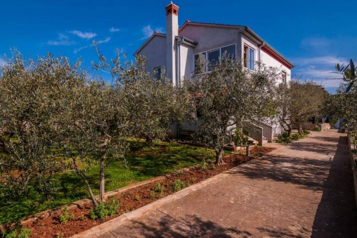 A house with a red roof, white walls, and a chimney. There are olive trees in the front yard.