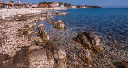 Seaside Oasis Apartments on Island Ugljan