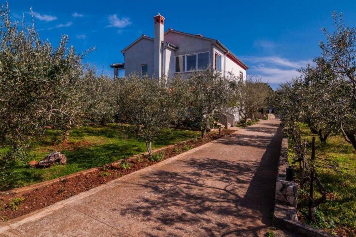 A house with a paved driveway leading to a white and red building, surrounded by olive trees and a clear blue sky.