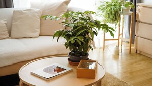 Appartement Deluxe | Salle de séjour