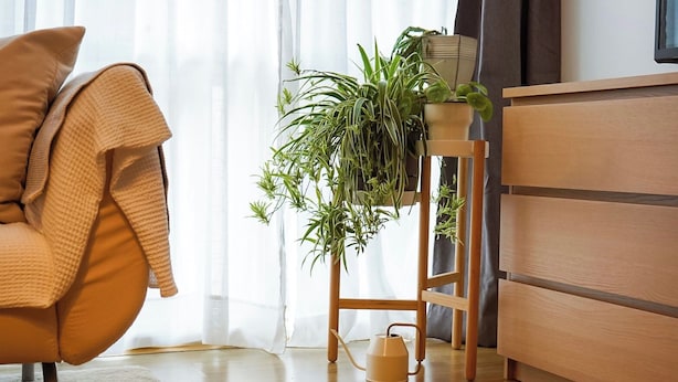 Un salon moderne avec un fauteuil beige, un buffet en bois et une plante en pot posée sur un tabouret en bois.