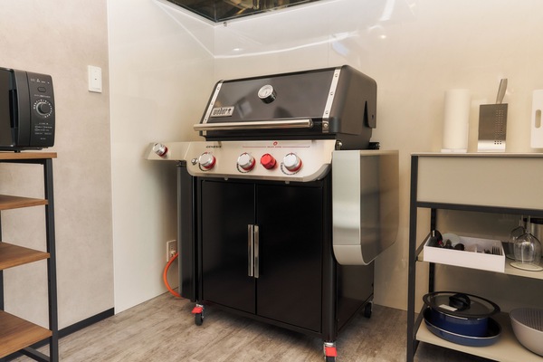 Full-size fridge, microwave, stovetop, rice cooker