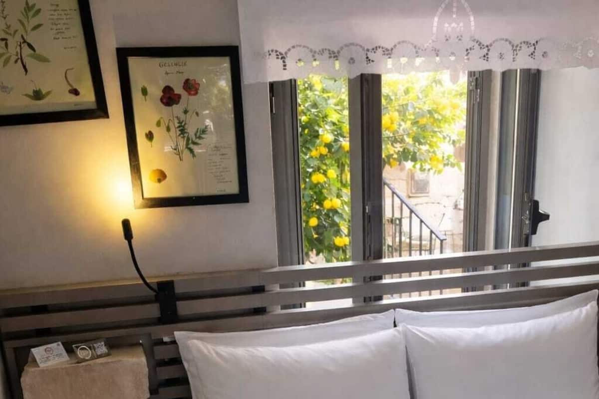 Delos | Ropa de cama hipoalergénica, wifi gratis, ropa de cama