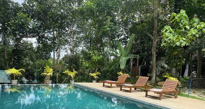 Charming Greenacres Bungalow w/Pool & Lush Garden – Ideal for Relaxing Getaways
