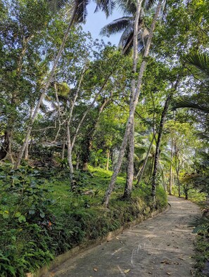 Àrea exterior de l'allotjament