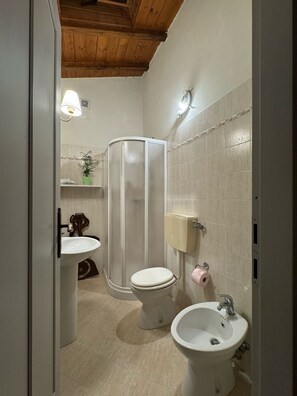 Douche, séchoir à cheveux, bidet, serviettes fournies