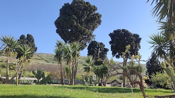 Exclusive-Apartment, 1 Schlafzimmer, Küche, Talblick | Ausblick vom Zimmer