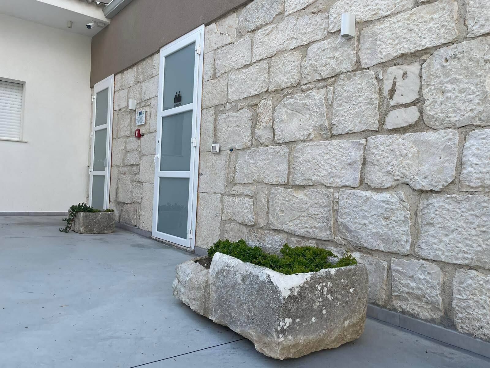 A stone building with a glass door, a fire hydrant, and two planters with greenery.