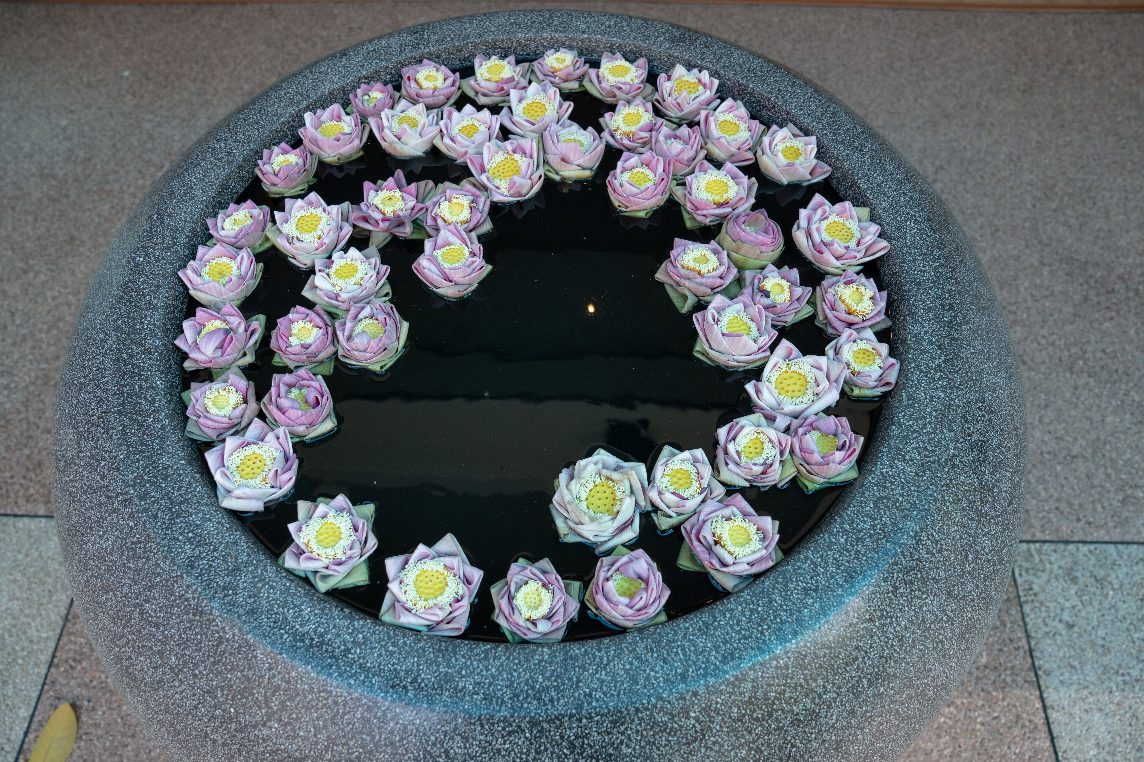 Photo - Smile Boutique Hotel by EHM