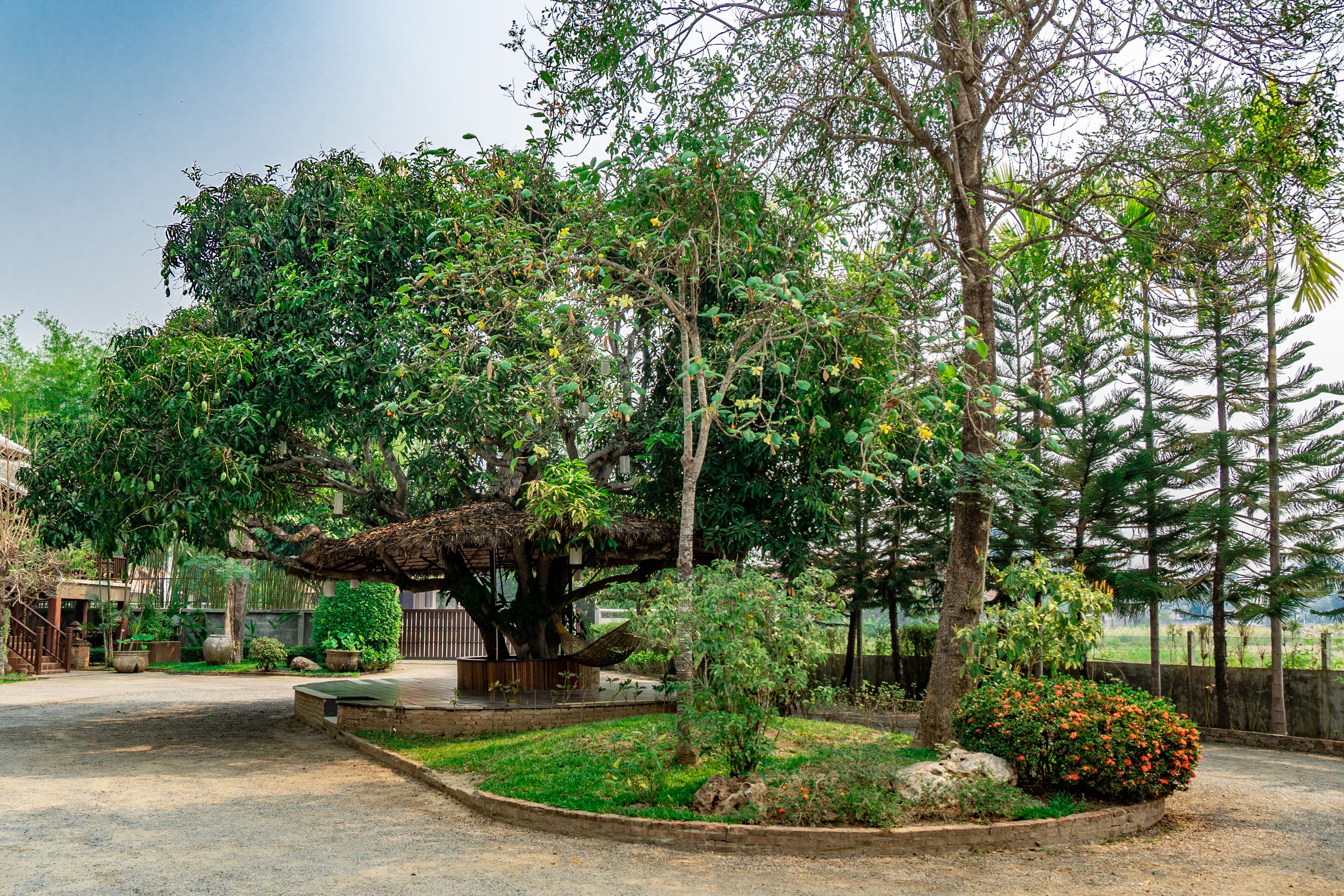 A garden with a variety of trees and shrubs, a wooden bench, and a paved area.