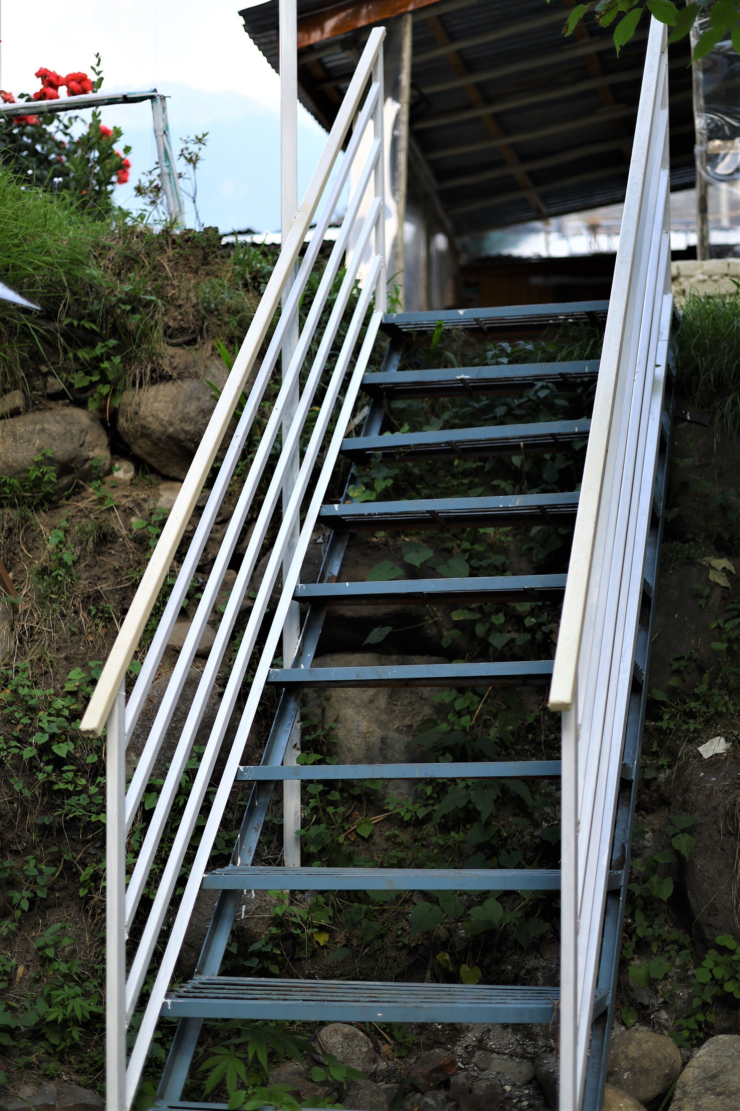 A metal staircase leading to a building with a corrugated metal roof.